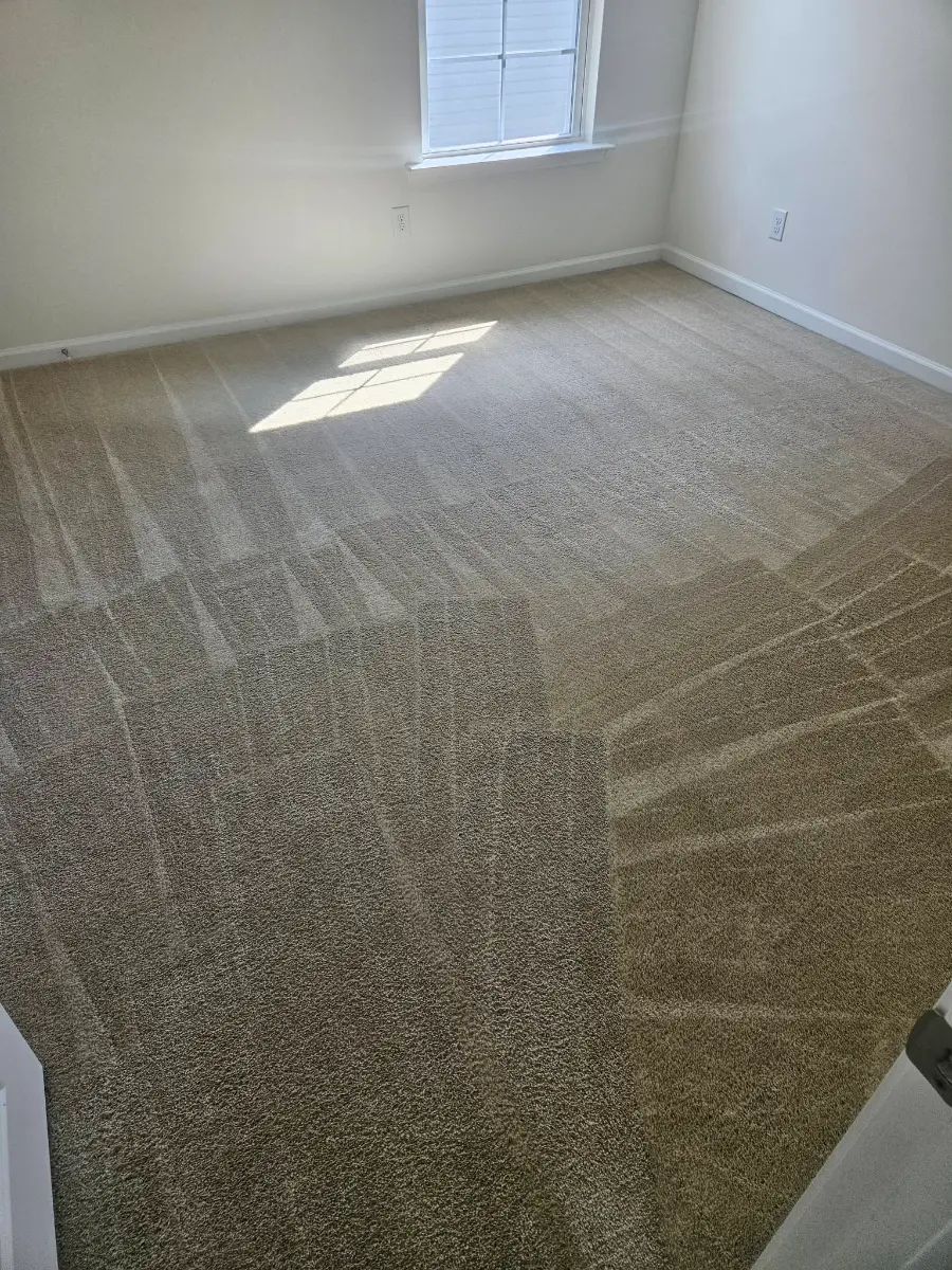 Sunlit bedroom carpet with fresh cleaning lines