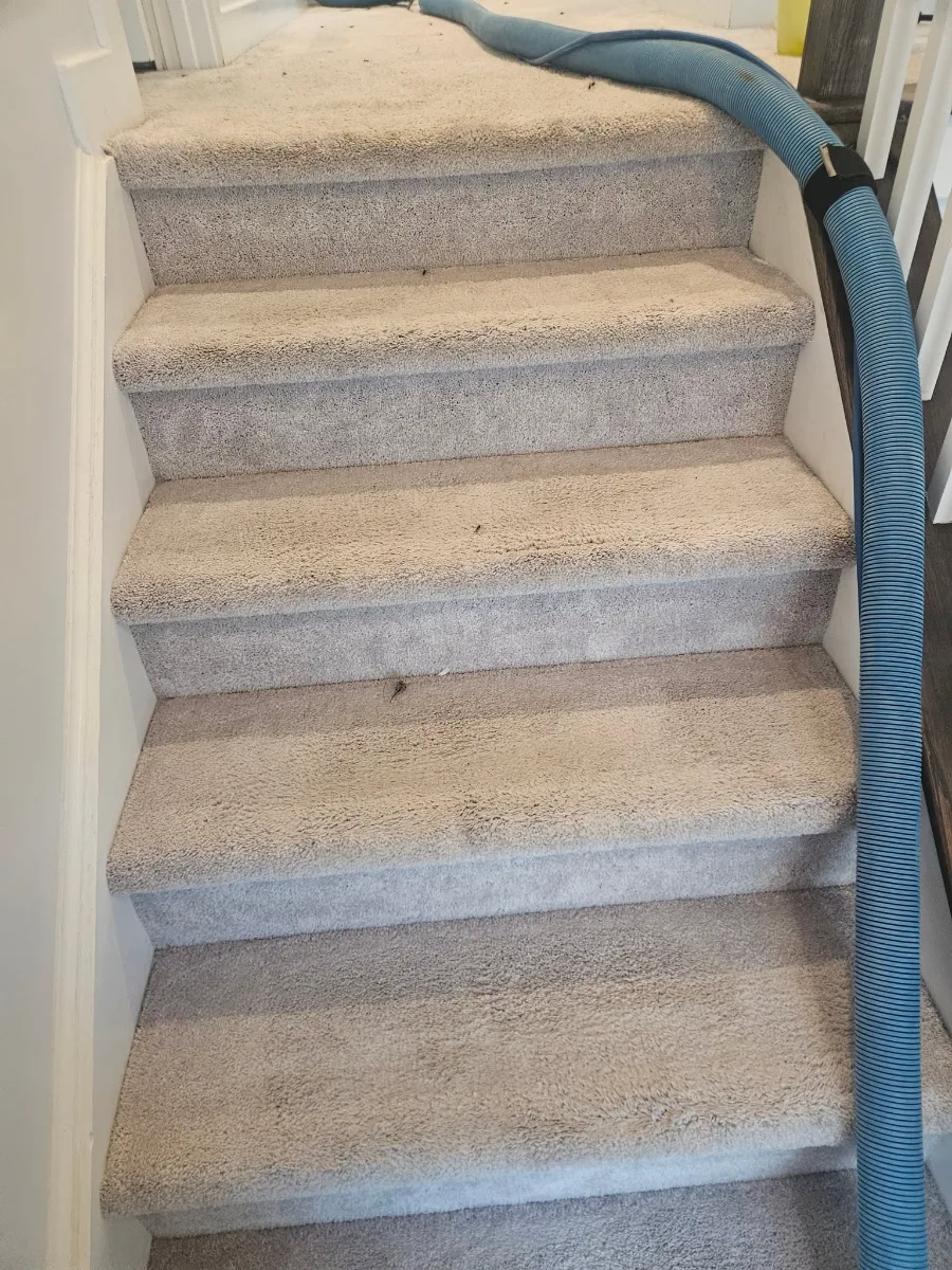 Stairs cleaned step by step, top to bottom, by Elite Carpet Cleaning in Summerville, SC