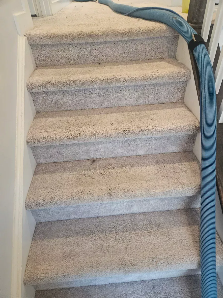 Stairs cleaned step by step, top to bottom, by Elite Carpet Cleaning in Summerville, SC
