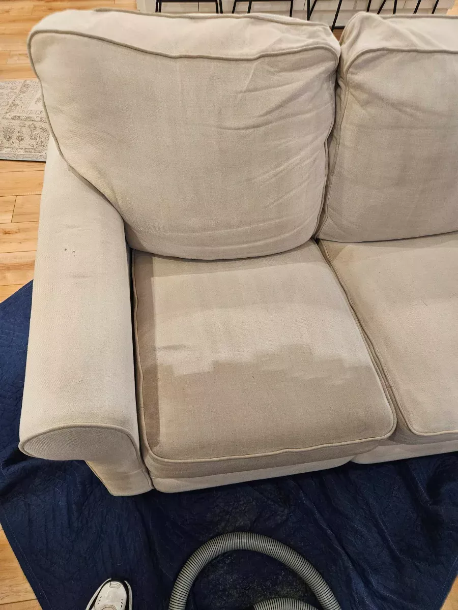 Couch cushion cleaned next to one we haven’t touched yet, by Elite Carpet Cleaning in Summerville, SC