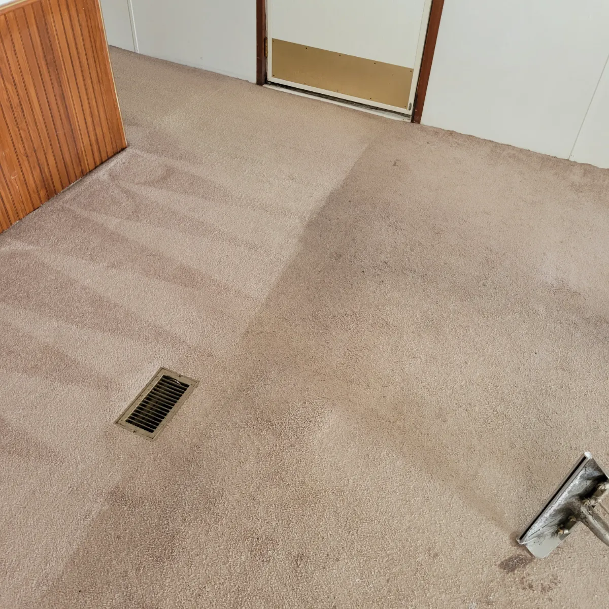 Fresh, even lines across a just-cleaned bedroom, by Elite Carpet Cleaning in Summerville, SC