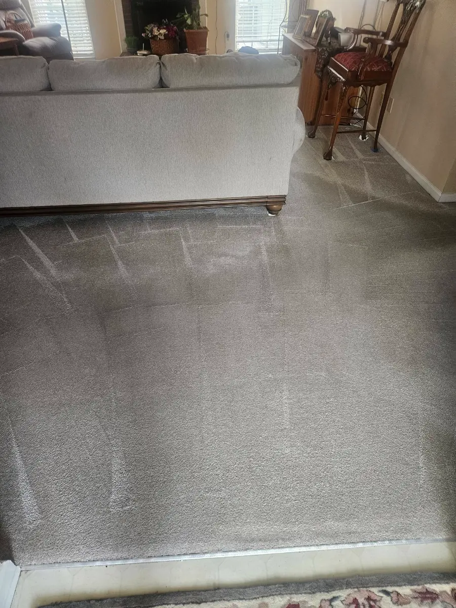 Living room carpet halfway through. You can see exactly where we stopped, by Elite Carpet Cleaning in Summerville, SC
