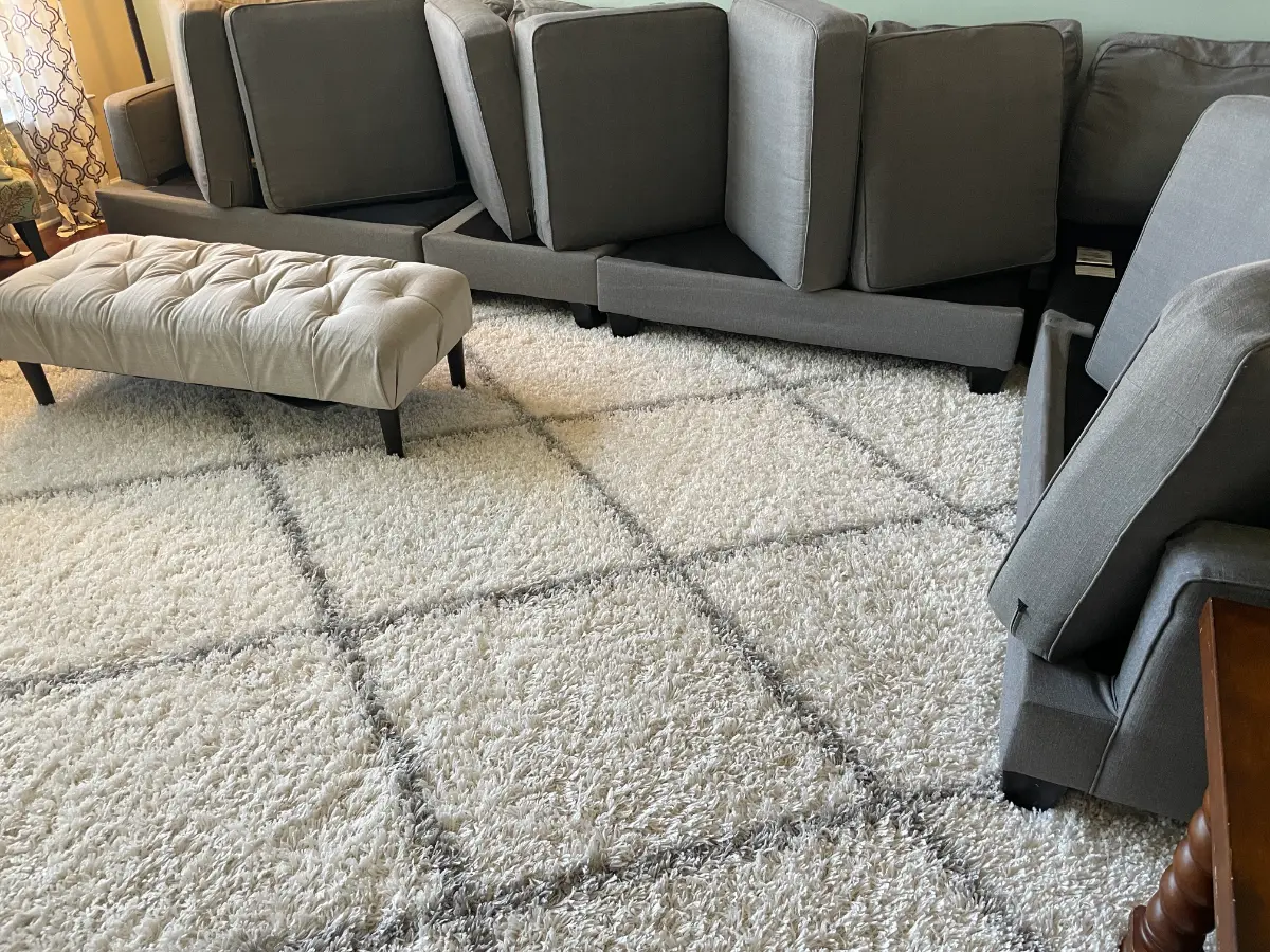 Shag area rug refreshed in the living room, by Elite Carpet Cleaning in Summerville, SC
